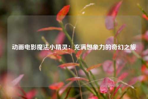 动画电影魔法小精灵：充满想象力的奇幻之旅